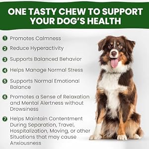 Calming Chews for Dogs | Hemp Anxiety Relief Treats | Melatonin for Dogs | Calm Relaxing Supplements for Separation Stress, Sleep, Nail Trimming, Storm, Barking, Canine Hyper Activity Calming Chews for Dogs | Hemp Anxiety Relief Treats | Melatonin for Dogs | Calm Relaxing Supplements for Separation Stress, Sleep, Nail Trimming, Storm, Barking, Canine Hyper Activity