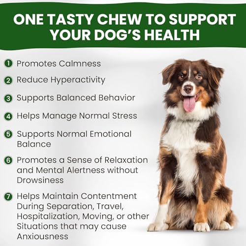 Calming Chews for Dogs | Hemp Anxiety Relief Treats | Melatonin for Dogs | Calm Relaxing Supplements for Separation Stress, Sleep, Nail Trimming, Storm, Barking, Canine Hyper Activity Calming Chews for Dogs | Hemp Anxiety Relief Treats | Melatonin for Dogs | Calm Relaxing Supplements for Separation Stress, Sleep, Nail Trimming, Storm, Barking, Canine Hyper Activity