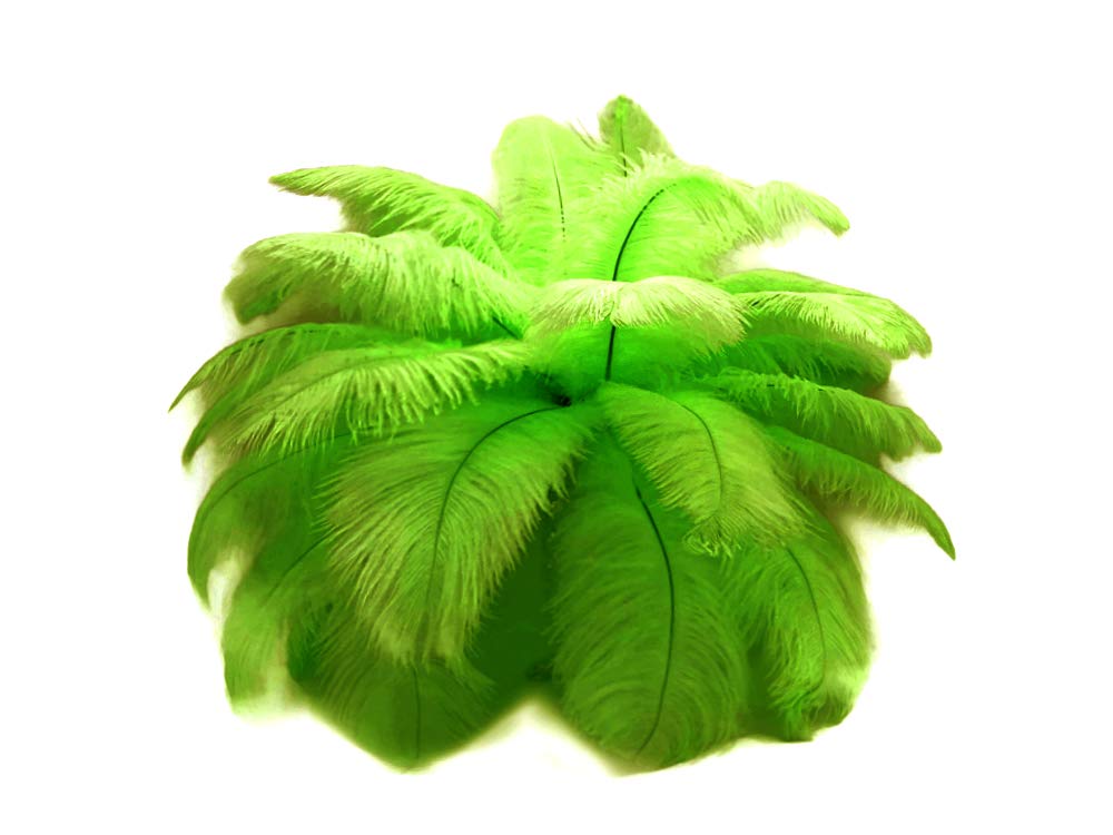 Moonlight Feather | 10 Pieces - 14-17