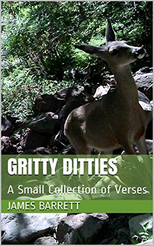 Gritty Ditties: A Small Collection of Verses (English Edition)