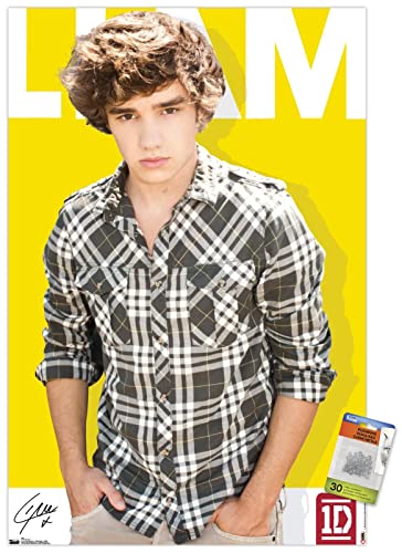One Direction - Liam Payne