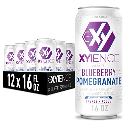 Xyience Blueberry Pomegranate Energy Drink, 16 fl oz can (Pack of...