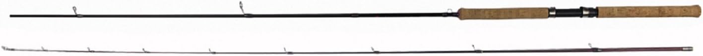 Ozark Rods SS1102S 11' Light Tip/Medium Backbone Ss Spinning Rod