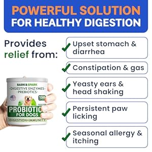Barkspark dog probiotics  digestive enzymes gut health allergy  itchy skin  pet diarrhea gas treatment upset stomach relief pill digestion health prebiotic supplement tummy treat 120ct bacon   cucciolini doodles