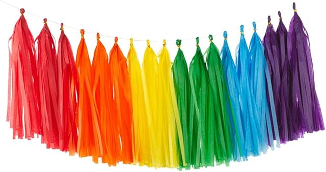 Rainbow Tissue Paper Tassels Multicolor Party Tassel Garland Banner Decorations, DIY Kits,30 PCS