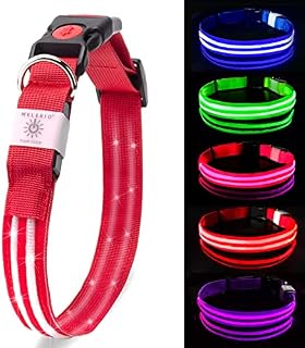 MELERIO LED Dog Collar Flashing Light Up with USB Rechargeable & 100% Waterproof, Super Bright Flashing Dog Collar with 10 Hours Working TimeRed M