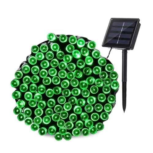 SUCCUL C~l[V \[[ O h LED NX}X Cg XgOCg 300 30m Rg[[t