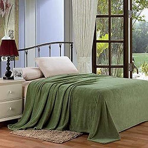 Plazatex Micro Plush Solid King Blanket Sage