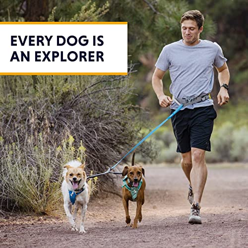 Ruffwear 40294-042 Double Track Coupler Leash Extension For Walking 2 Dogs thumb #8