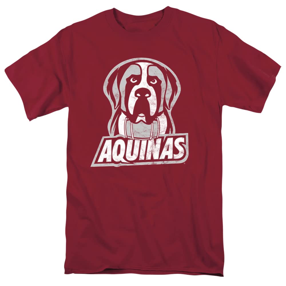 LOGOVISION Official Collegiate Distressed Primary Logo Adult T-Shirt Collection — view 225