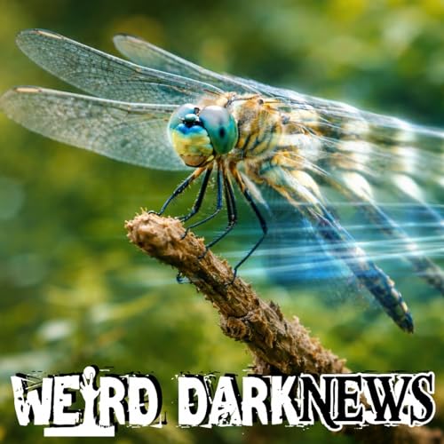 A Dragonfly Sees Time in Slow Motion &mdash; The Science Behind Animal &ldquo;Frame Rates&rdquo;