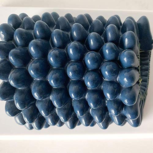 image for LXX Baculovirus Model Rabies Virus Anatomical Model Virus Structure An