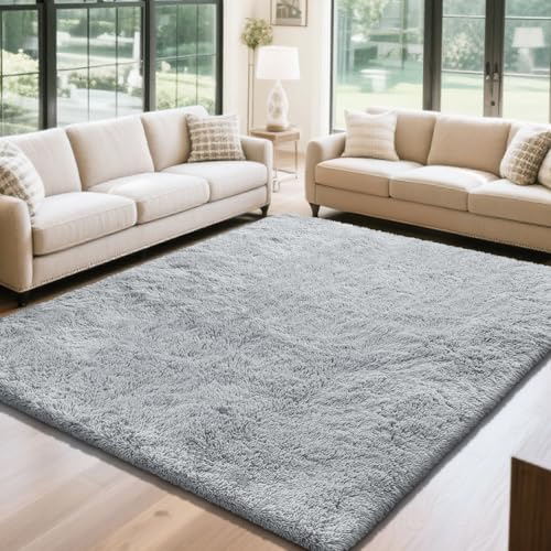 Fluffy Rug Shaggy Area Rug, Grey 5x8 Area Rugs for Bedroom, Small Bedside Rug, Soft Fluffy Shaggy Entryway Throw Rugs for Living Room Bedroom Kids Room Home Decor