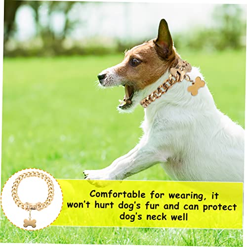 Collier chien durable et sûr pour éviter les irritations : accessoire confortable au cou