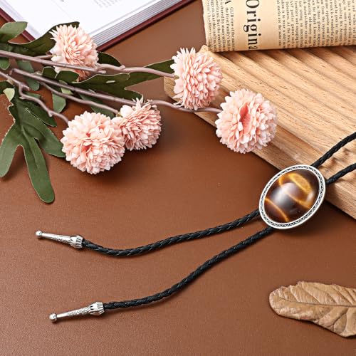 Image of ElevateTech Bolo Tie for Men Western Cowboy Bolo Tie Necklace Shape Round Ties Supplies Fashion Accessories Western Jewelry Handmade with Alloy Turquoise Cowboy Banquet Birthday (Brown)