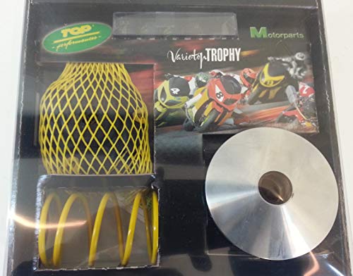 VARIATORE top performance TPR racing GILERA DERBI