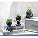 VENY TAYA 3PCS Human-Shaped Potted Artificial Plants Office Decor for Women and Men, Small Fake Plants Decor for Bedroom and Bathroom, Cute Faux Succulent Desk Decor for Office and Home, Black