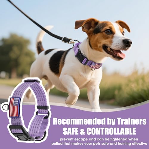 Image of Martingale Dog Collar Reflective NO Pull with USA Flag, Lavender, M | Escape Proof without choking,Adjustable Limited Slip Collar with Quick Release Buckle, Nylon Walking Collar for S M L Dogs