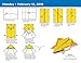 Paper Airplane Fold-a-Day 2018 Calendar