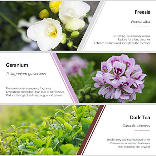 Floral Essential Oils, Esslux Pure Aromatherapy Diffuser Oils Set, Rose, Neroli, Geranium, Freesia, Plum Blossom, Dark Tea Essential Oils, Ideal for Diffuser, Massage, Home Fragrance