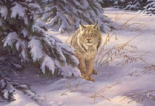 Rosemary Millette - Watchful Eye - Lynx