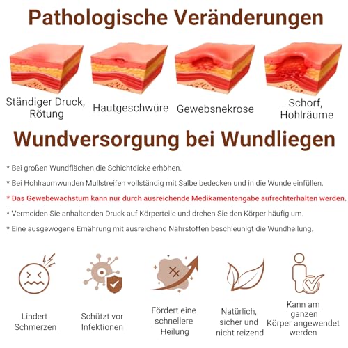 LMNOOP® Wundliegen-Creme, Wundheilungssalbe Hautreparaturbehandlung Infektionsschutz Erste-Hilfe-Salbe für Dekubitus & Druckgeschwüre Diabetische Venenfuß- und Beingeschwür Verbrennungen Schnitte