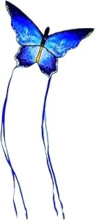 Easy to Fly Kit Kite Adult Kite Outdoor Easy to Take Off Suitable for Playground Park Beach Large Long Tail 3m Toy Kite Kids Kite Easy to Assemble Kite Toys (Color : B)