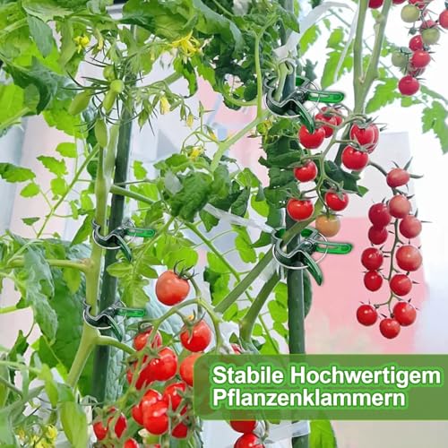 Huanmin 80 Stück Pflanzenclips, Pflanzenklammern Tomaten, Grüne Pflanzen Clips für Gurken, Kunststoff Pflanzen Klammern für Gemüse, Pflan-Zen, Rosen, Chili
