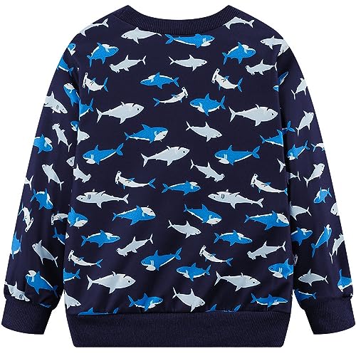 Boys Cotton Sweatshirts Crewneck Long Sleeve Pullover Toddler Winter Warm Sweater Tops 2-7T2