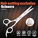 Fengliren High-end Professional Extremely Very Sharp Barber Hair Cutting Scissors Hairdresser Shears For Hair 6 Inches Haircut Scissor Made Of Stainless Steel Alloy For Hairdressing Salon and Home Use