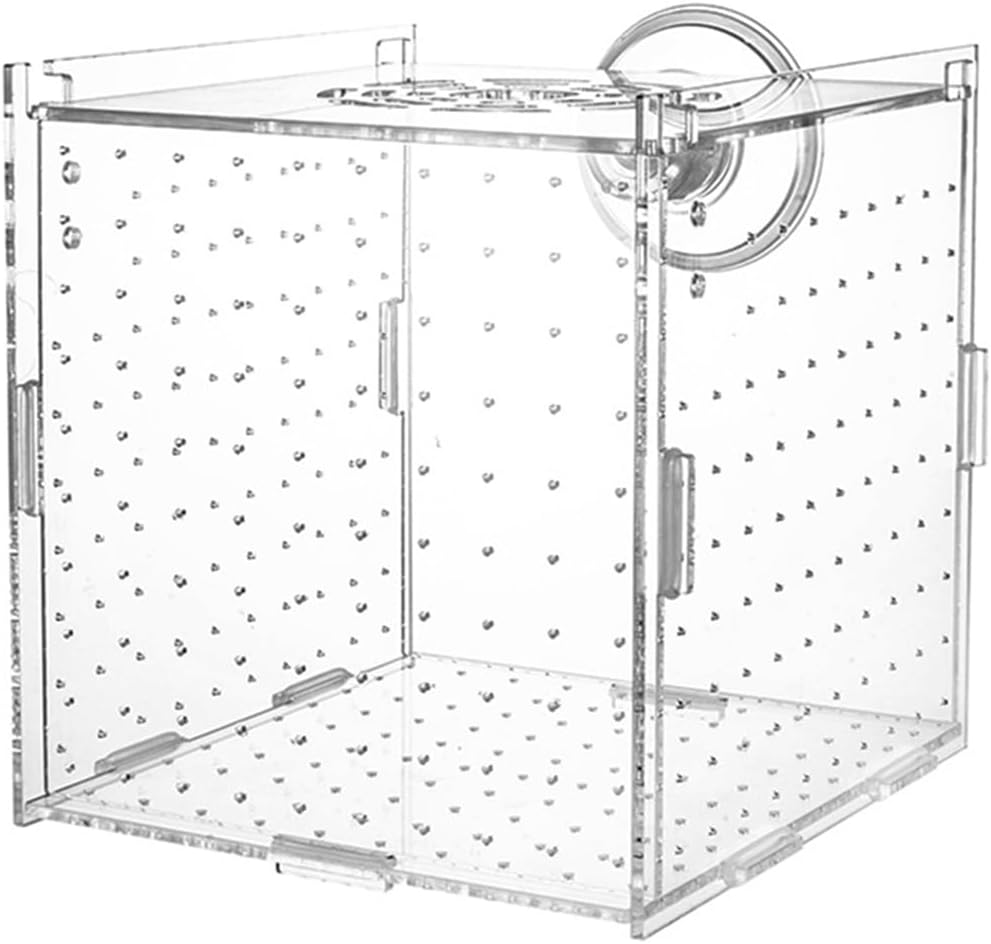 Fish Supplie Transparent Acrylic Incubator Aquarium Isolation Box Fish Tank Small Fry Breeding Box Multifunctional Spawning Hatching Room Aquarium Accessories(30x20x20cm)