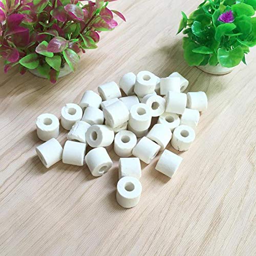 PetzLifeworld Ceramic Ring Aquarium Filter Media (500g) (B09C28HNDS) Amazon Price History, Amazon Price Tracker