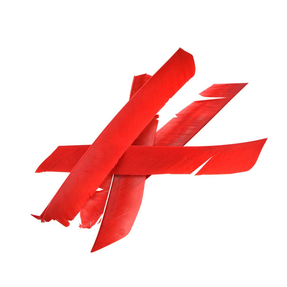 50 Piume Freccia Tacchino 7-10 Pollici - Naturali Per Fai Da Te Caccia Tiro Con Arco