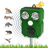 Top 10 Meilleur Repulsif Chat Ultrason 21 Comparatif Tests Avis