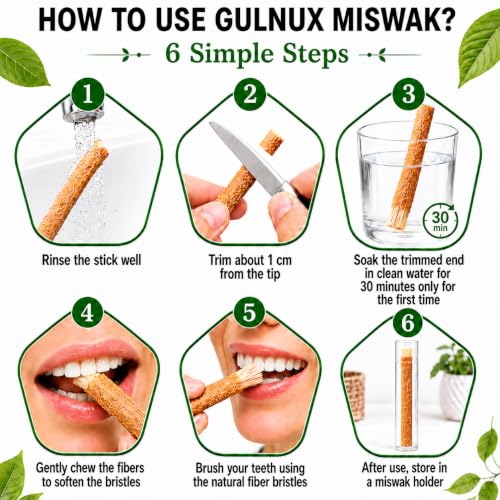 Image of Miswak Sticks for Teeth Pack of 12 with Holder - 100% Natural Salvadora Persica Miswak Sticks - Traditional Oral Care Chewing Sticks - Vacuum Sealed