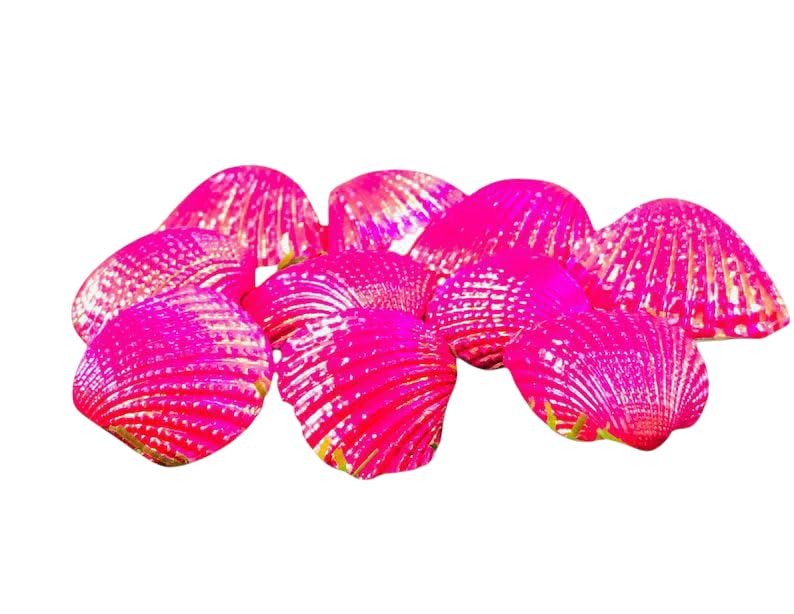 Perles de coquillages roses naturelles : finis les composants ternes pour vos bijoux DIY