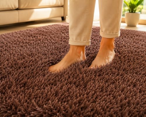 Image of Shaggy Carpet 5x7 Ft for Living Room & Bedroom (Brown)