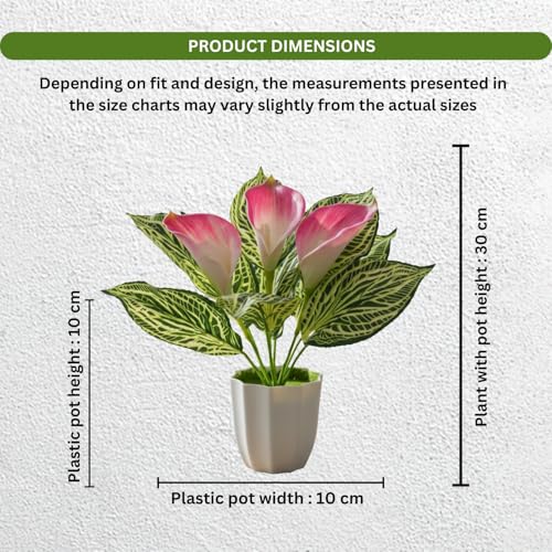 Image of fancymart Artificial Calla Lily Plant with Pot - 30 cm Height Decorative Flower Leaves (Pack of 1) | Realistic Faux Plant for Home & Office Decor | Table, Shelf & Desk Decoration