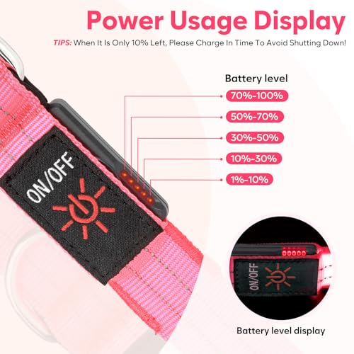 Kpuplol LED Dog Leash for Night Walking, 1600FT USB-Rechargeable Reflective & Glow-in-the-Dark Leash with Padded Handle - Image 2