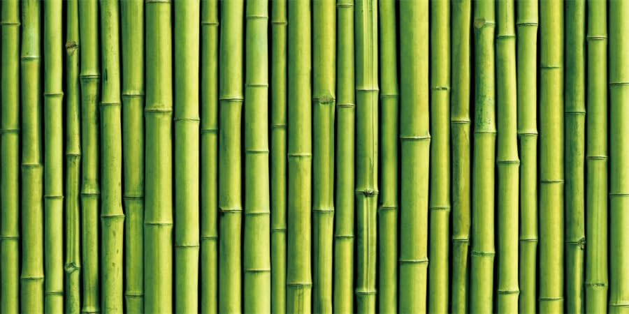 48x18inches Aquarium Background Green Bamboo Backdrop Terrarium Background Reptile Habitat Fantasy Underwater World Fish Tank Decoration Vinyl Background