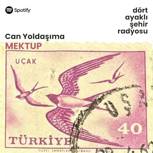 Can Yoldaşıma Mektup | Papatya Tıraşın&rsquo;ın Gelgel&rsquo;e Mektubu