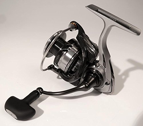 Amazon.com : Daiwa Caldia 18 LT 2000S : Sports & Outdoors