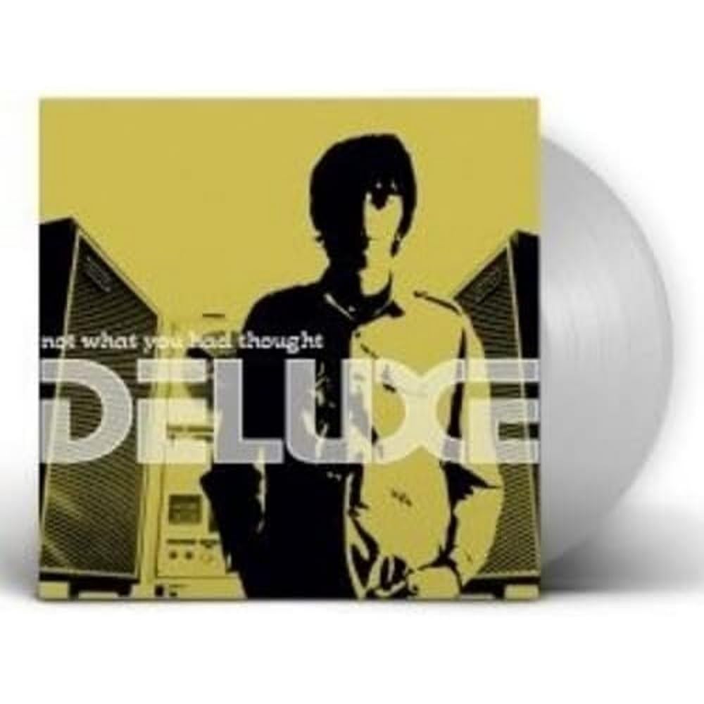 Not What You Had Thought [VINYL]
