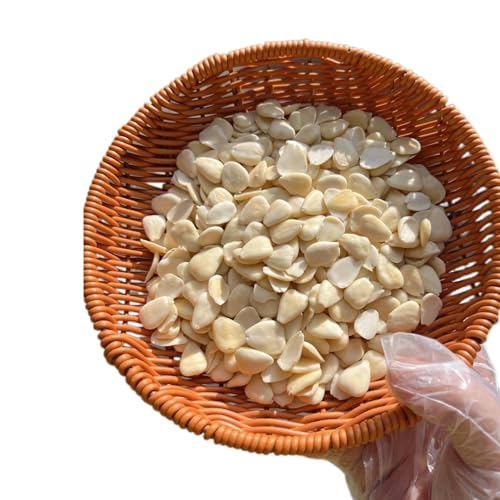Longguan Nanshing, Large Dried Persimmons image 5