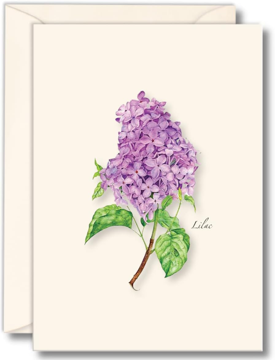 Earth Sky + Water - Lilac Notecard Set - 8 Blank Cards with Envelopes