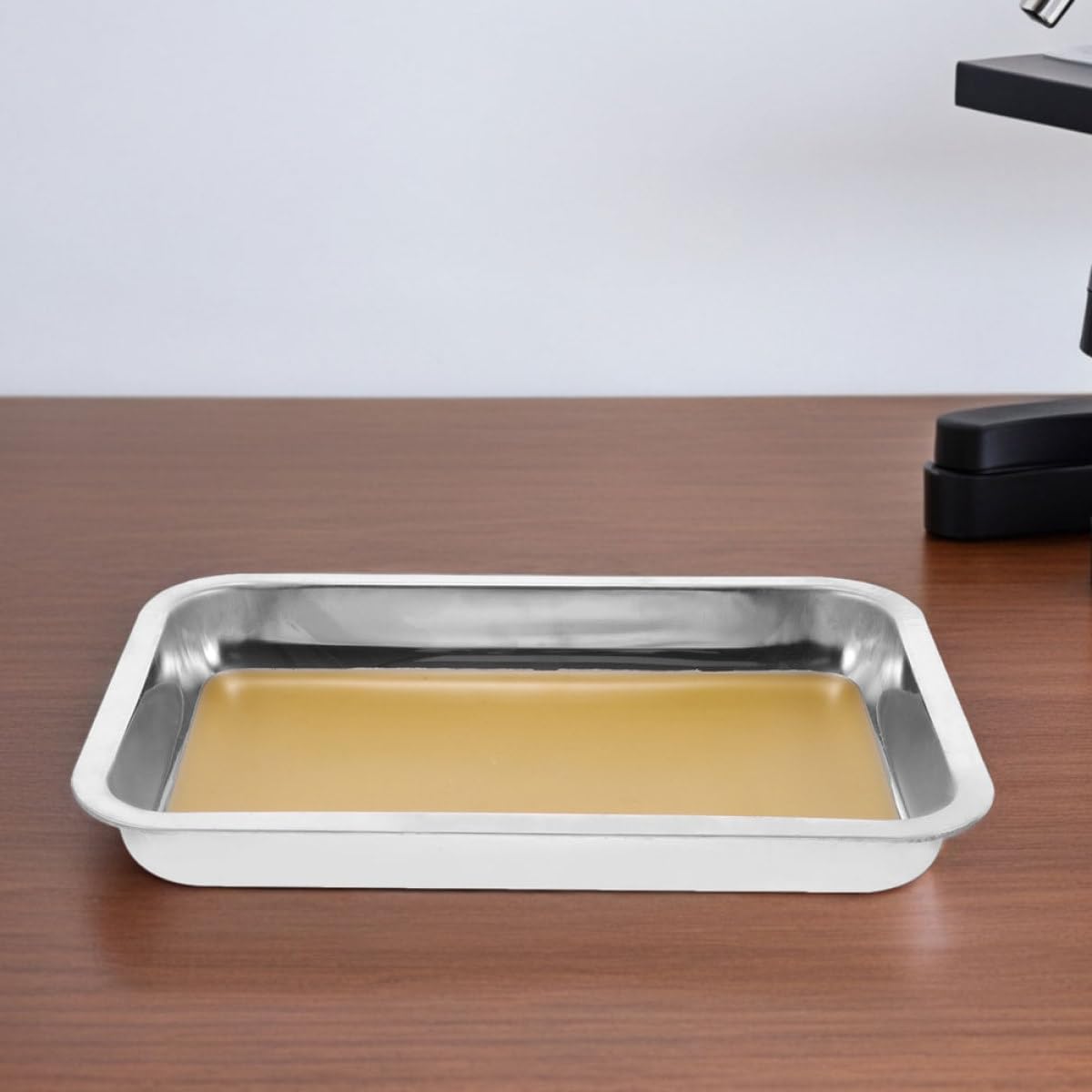 Vassoio da Dissezione A4 in Acciaio Inox Giallo, 2 Pezzi | Diagramma Anatomico Chiaro, Bordi Lisci, Pulizia Semplice, Uso Didattico per Biologia e Studio