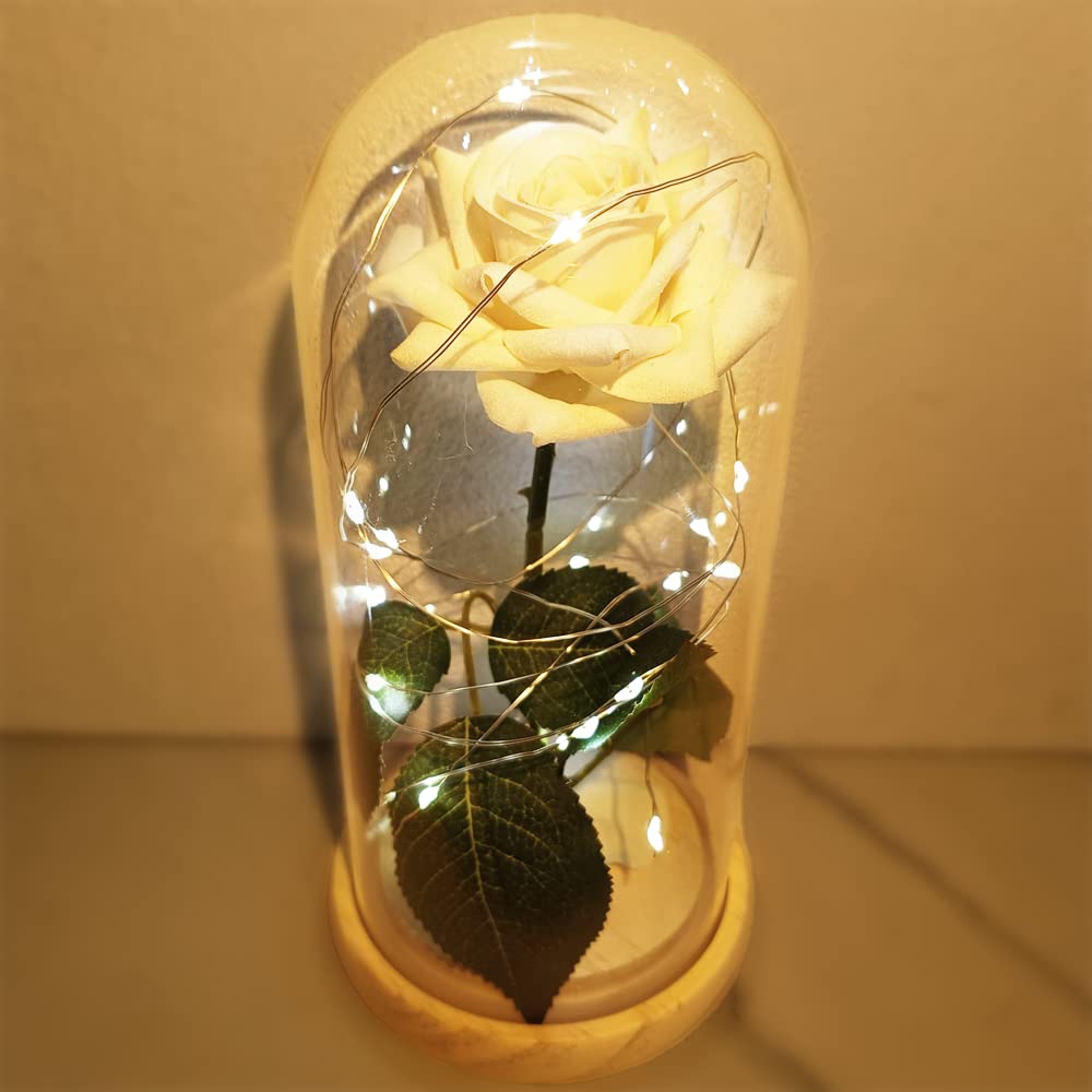 Uniqicon Women's 1Fw Galaxy Artificial Flower Rose Beauty And The Beast, Eternal Present, Dome, Romantic Gift For Her Wife Grandma Nan Girlfriend Sister Daughter Mother's Day, 101781128_1Fw|Noengrave