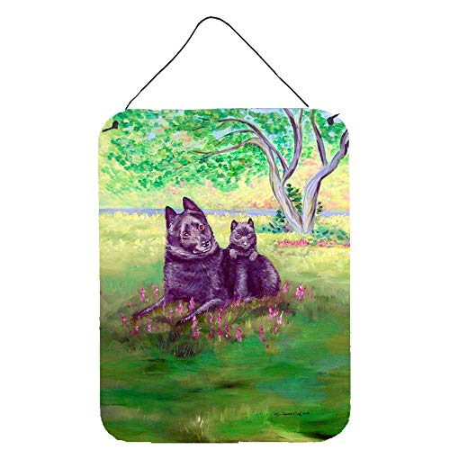 Caroline's Treasures 7263DS1216 Schipperke and Puppy Wall or Door Hanging Prints Aluminum Metal Sign Kitchen Wall Bar Bathroom Plaque Home Decor Front Door Plaque, 12x16, Multicolor