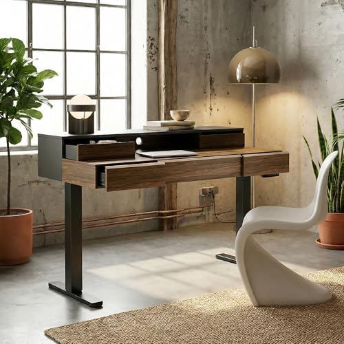ErGear Electric Standing Desk with 5 Solid Wood Drawers, 48