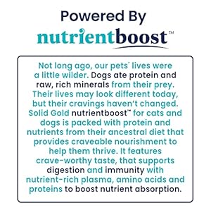 Strong Gold Canned Canine Meals for Grownup & Senior Canines – Nutrientboost Hund-N-Flocken Made with Actual Lamb and Wholesome Complete Grains – Excessive Calorie, Excessive Protein Moist Canine Meals – 6ct/12.5oz Cans